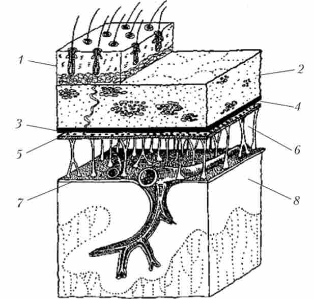 �������� ���������� ������� �������
