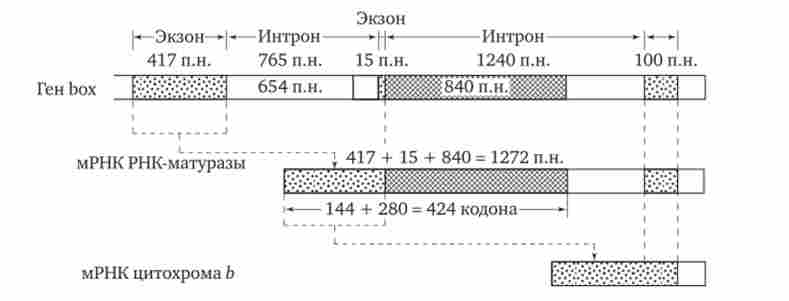 ����� ������� ��� ���-�������� � ��� ���������� ���������� ����������� ���� ��������� b ��������� ������; �. �.- ���� ����������