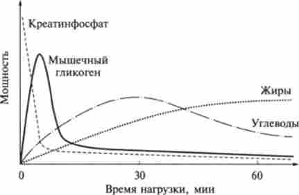 ��������� ������������������ �'��� ��� ����� �������������