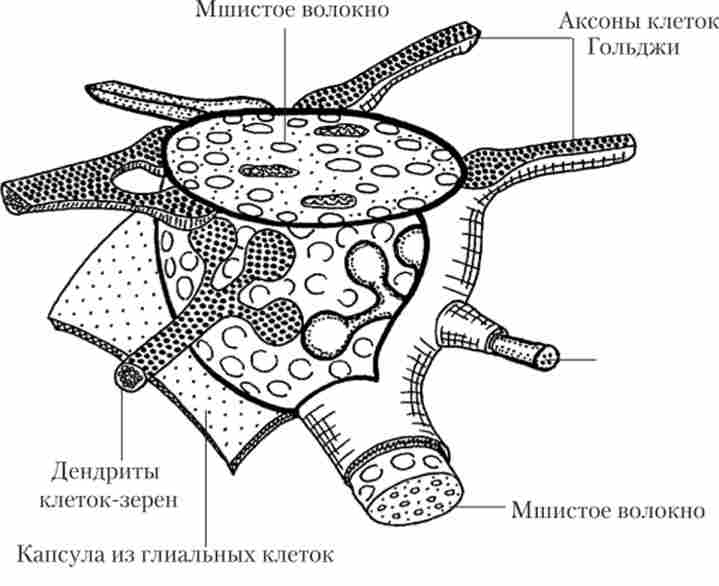 ��������� � ��� �������