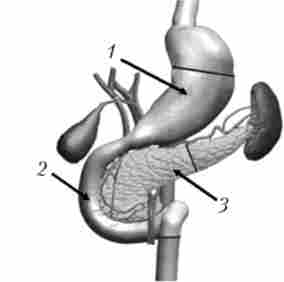 �������� ��������������������� �������� - �������� ������