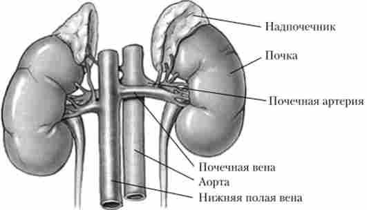 ����� � ���������� ����������