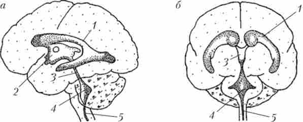 �������� ��������� �����