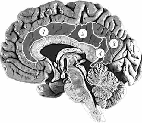 ³���� ������� (�����������) ����