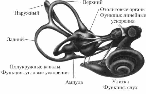 ��������� ����������� ����