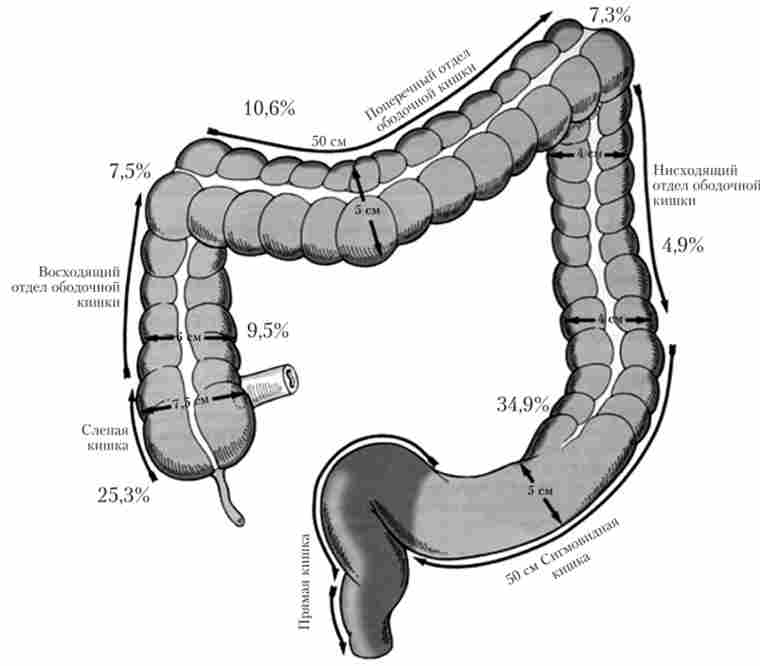 ������� �������� ���������� ����� ����� ������� �����