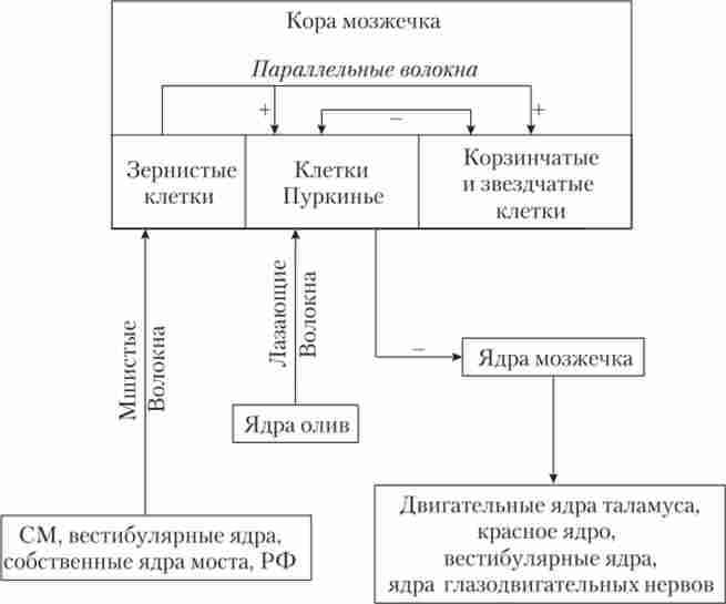 ������� ���������������� ��'���� � ������� ���������