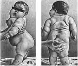 ��������� ������� ����� ��� ���������� ����������� ����� � ������� ���� ������