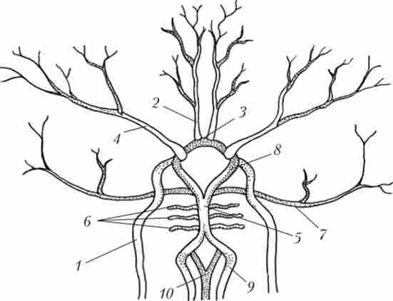 ��������������� ��������� �����