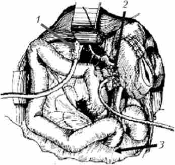 ���������������� ���� ���