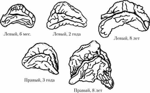 �������� ����������� ����� � ����