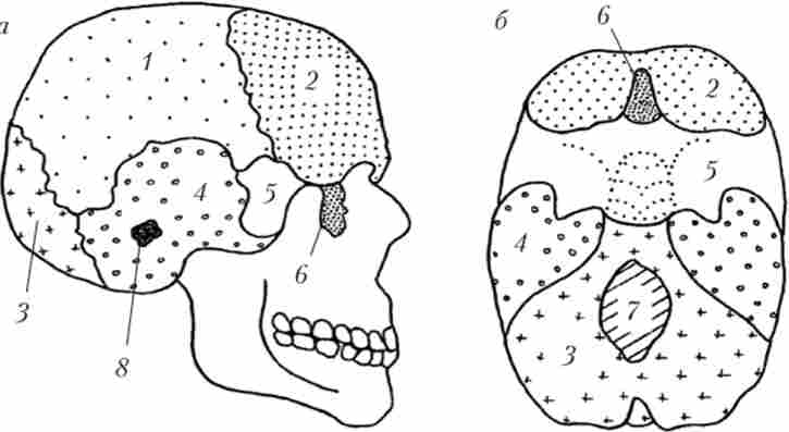 ʳ���� ��������� ������