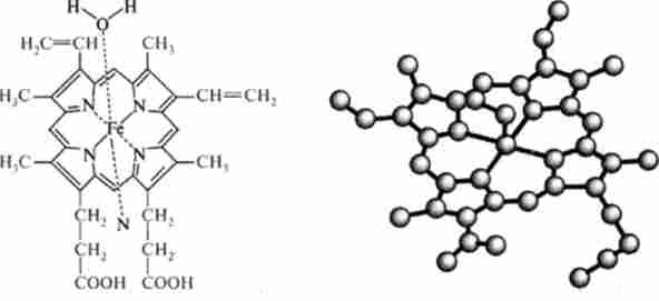 ������ ����