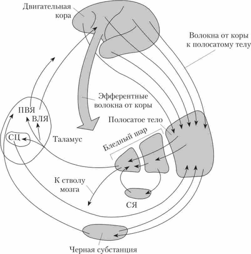 ��'���� ��������� ����볿�