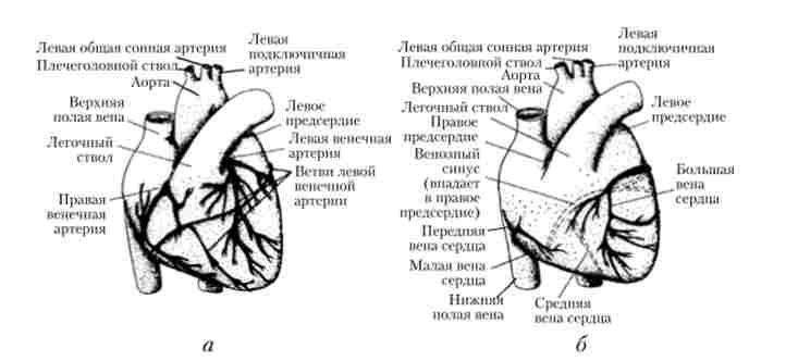 ��������������� �����