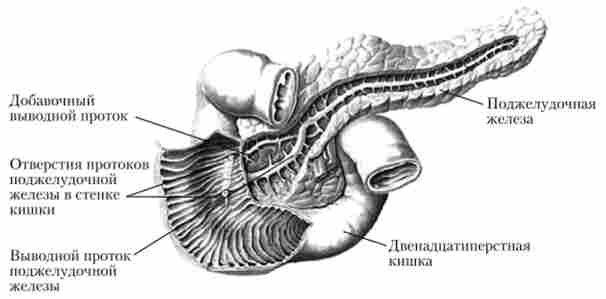 ϳ��������� ������