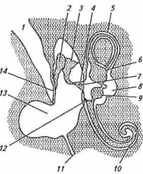 ������ ������ ����� � ��������