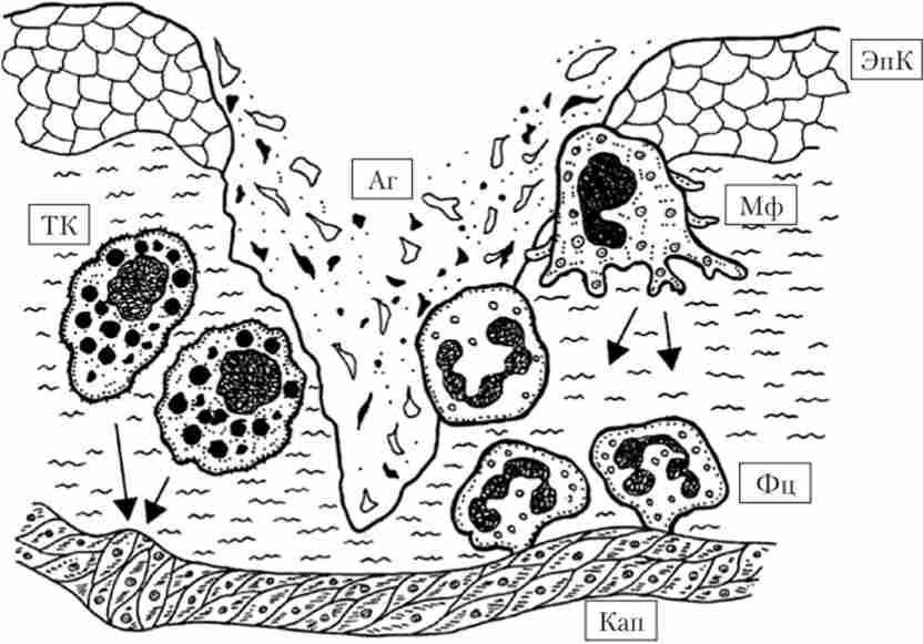 ����� �������� �������� ������� � ������� �� ����������� �������� ����
