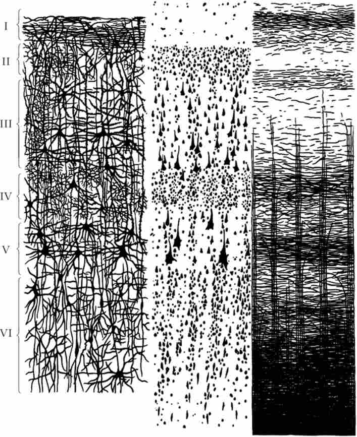 ������ ���� ����