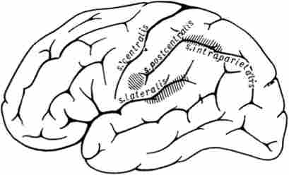 ������ �������� �������������� ����������