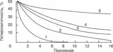 �������� ���������������� � ��������� � ��������� �� ������� ����������