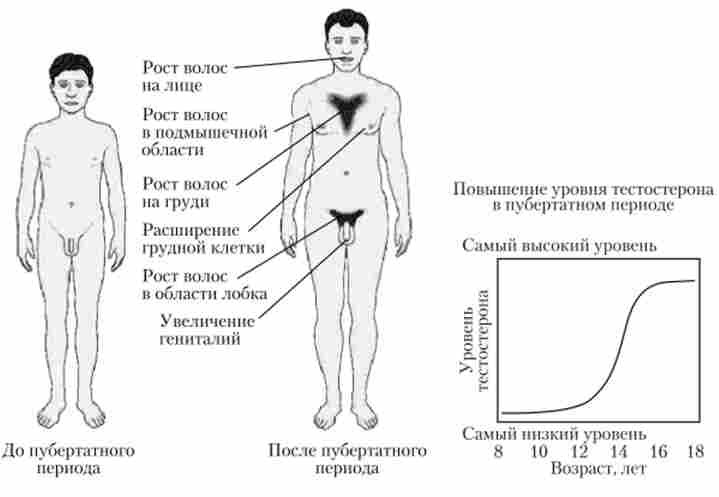 �������� ��������� �������� �������� ����� �����, ��������� ��������� �������� �����. ������������� � ��'������ ���������� ���� 15 ���� � �������� ��������������� ������ (���. ��. 2)