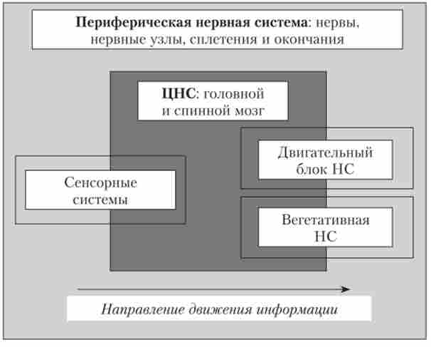 ������������ � ������������� ������������ ������� �������