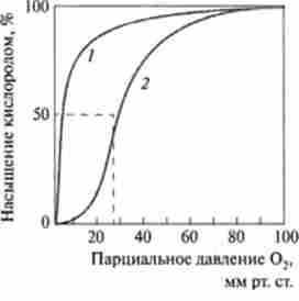 ���� ��������� ������