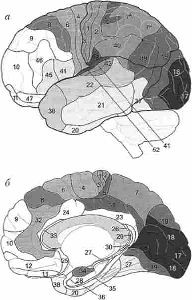 ֳ���������������� ���� ���� ������� ������ �� ��������