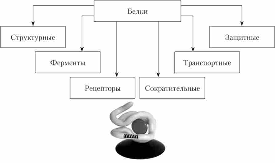 ������� ���� � ��������