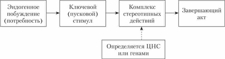 ����� ��������� ���������