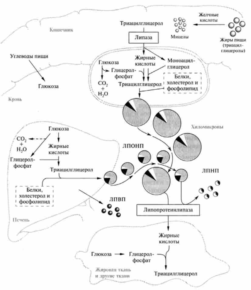 ������������ � ��������� ���� � �������