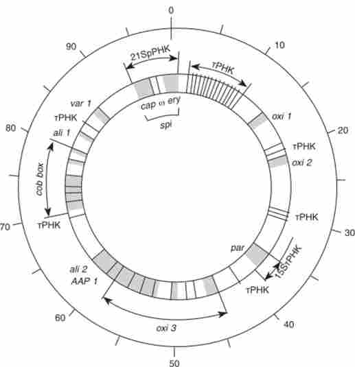 ����� ������������� ����� ��������� 8����. ��������. ����� ����������� ���� �������� ������ ��������� ����� � 100 �������, ��� ������� 75 000 �. �