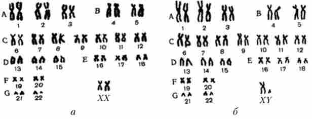 ���� �������� ���������� ����� ���� (�) � ������� (6)