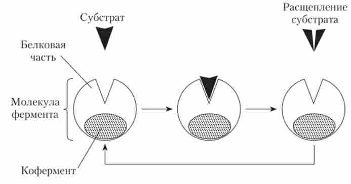 ����� ������� �� ������ ��������