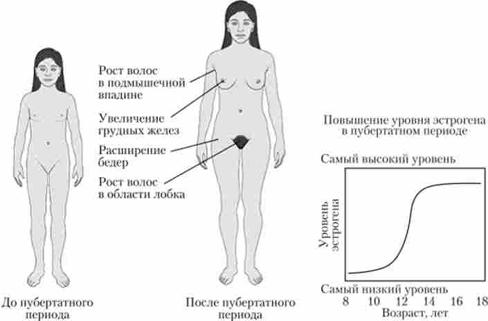 �������� ��������� ������ �������� �����