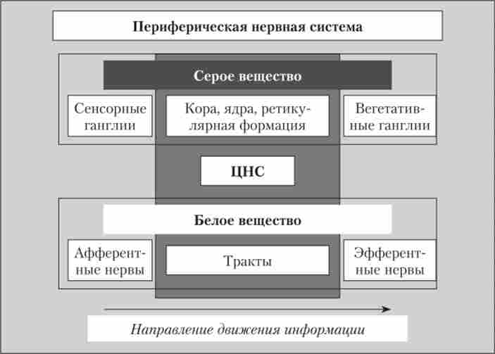 г������������� ��� � ��� �������� ������� �������