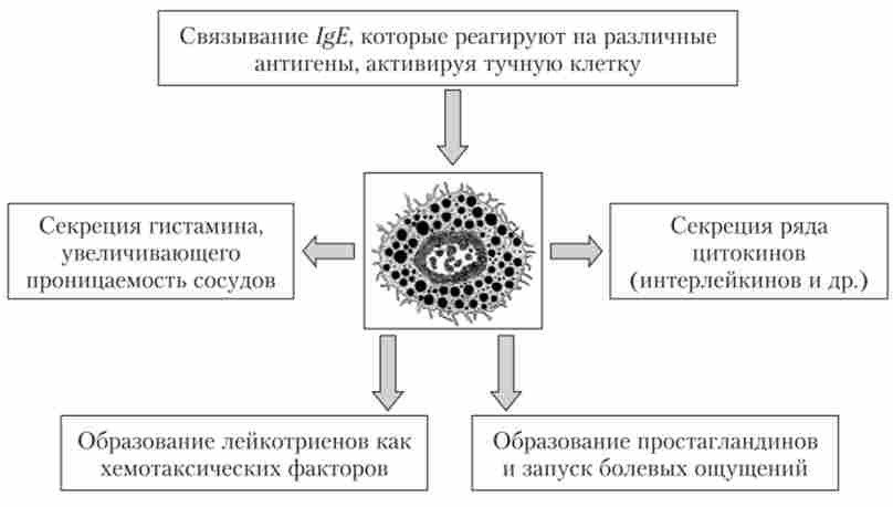 ������� ���������� � ������� �������� �����