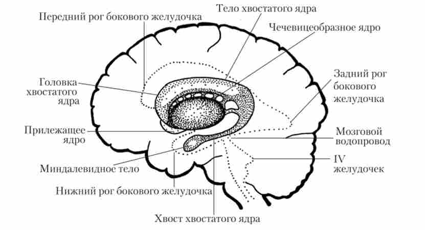 �������� ����