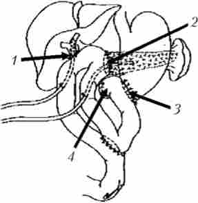 ������ ���������� ��������������������� ��������