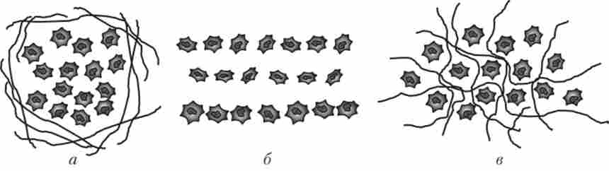 ���� ����������� ����� ������� - ������� (�), �������� (�), ������������ (�)