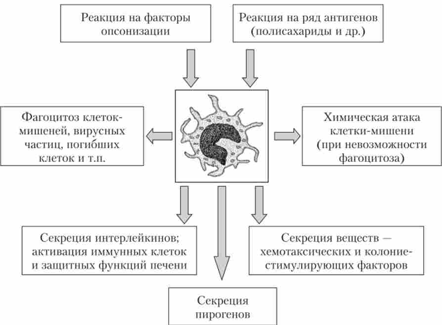 ������� ���������� � ������� ���������