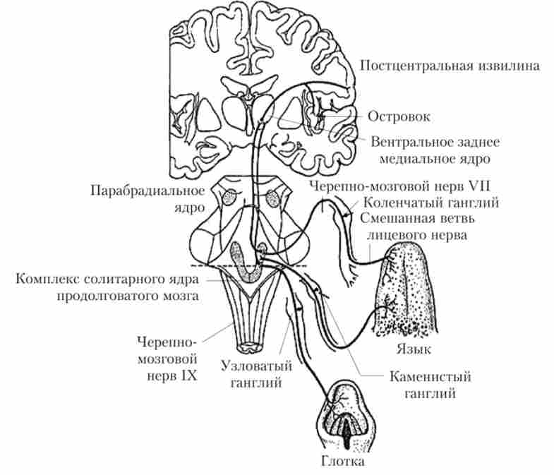 ����� ���������� ������� �����������