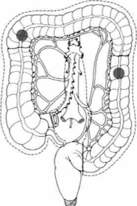 ����������� ������������