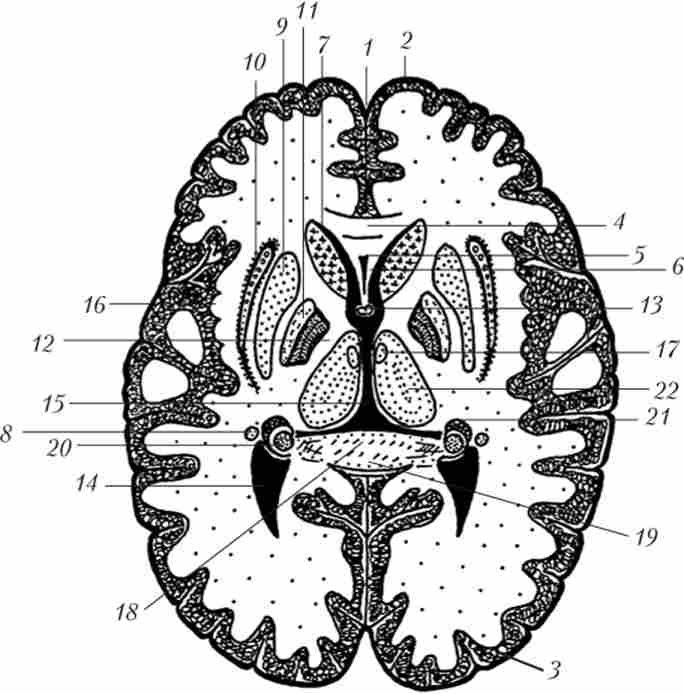 �������������� ��� ����� ����� ����� �� ����