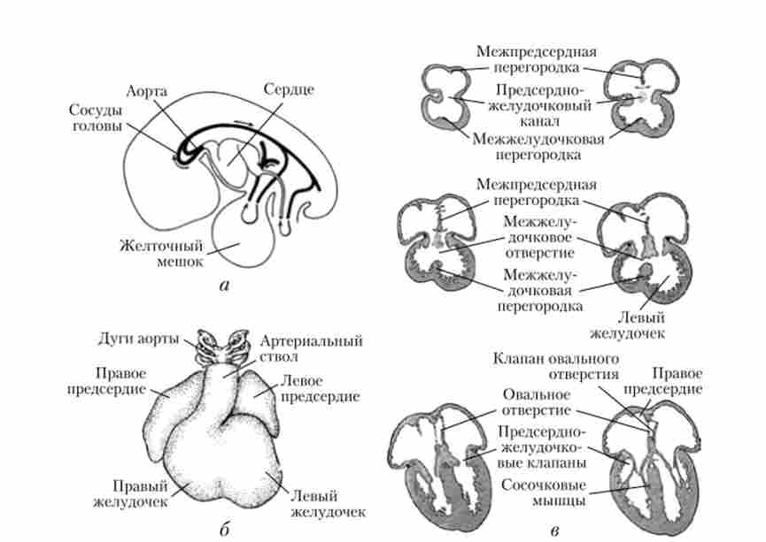 �������� �����