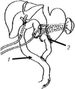 ������ ���������� ��������������������� ��������