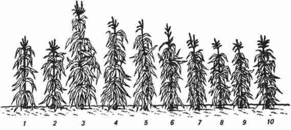 ����� ���������� � ����� ��������� ������� ���������