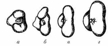 ���� ������ ������� � ����