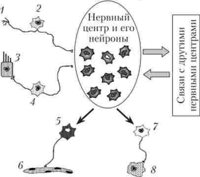 �������� ����� � ���� ��'����